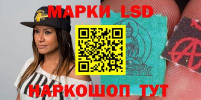 прущие грибы Чебоксары