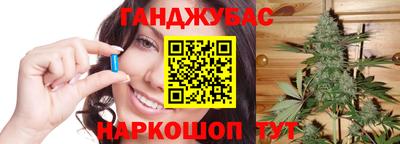 прущие грибы Чебоксары