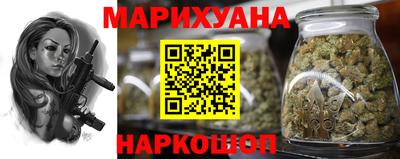 прущие грибы Чебоксары