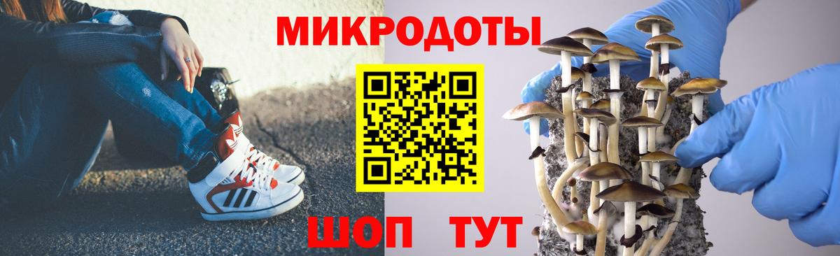 Галлюциногенные грибы Psilocybine cubensis  Вход с VPN  Бор 